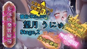 『女体快楽実験場』 被験体No,007「望月 うにゅ」Stage,2